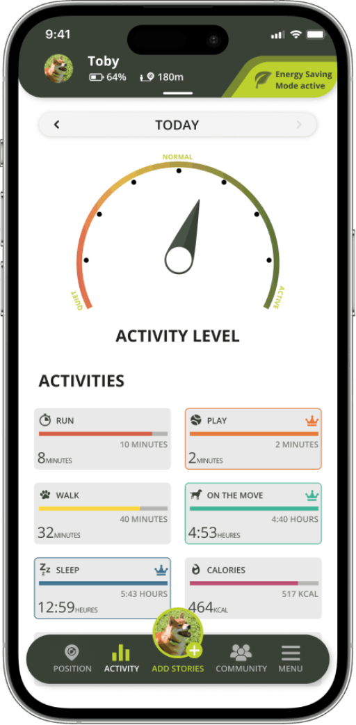 Activity monitor